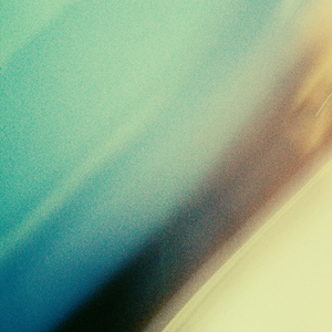 威哥WG官网最新
