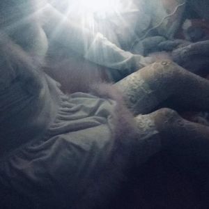 威哥WG官网最新
