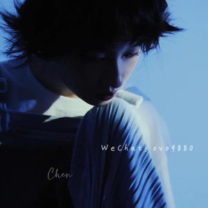 威哥WG官网最新
